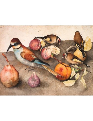 Naturaleza muerta con pájaros y frutas, c. 1650