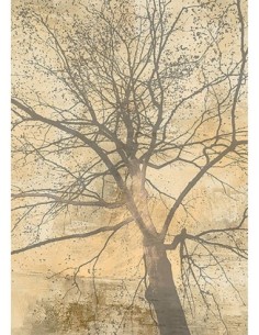 Debajo de mi árbol yo