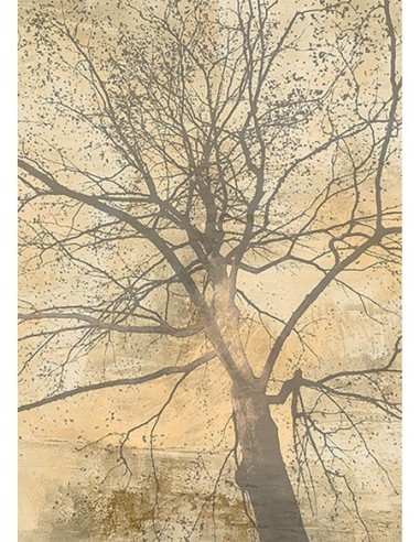 Debajo de mi árbol yo