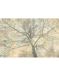 Debajo de mi árbol II