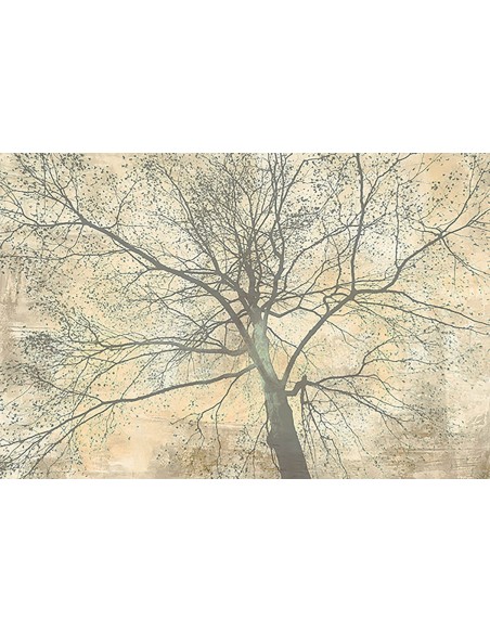 Debajo de mi árbol II