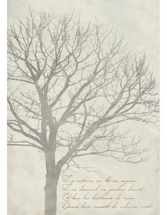 El árbol de Gautier I