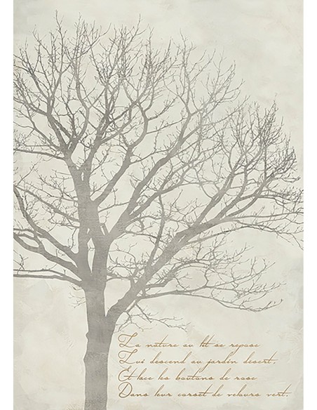 El árbol de Gautier I