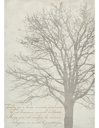 El árbol de Gautier II