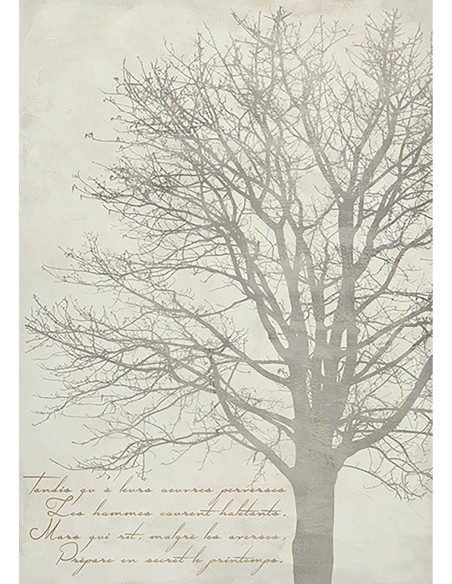 El árbol de Gautier II