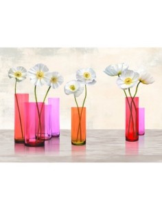 Amapolas en jarrones de cristal (Paleta morada)