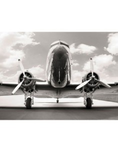 DC 3 clásico en el aeródromo