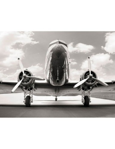 DC 3 clásico en el aeródromo