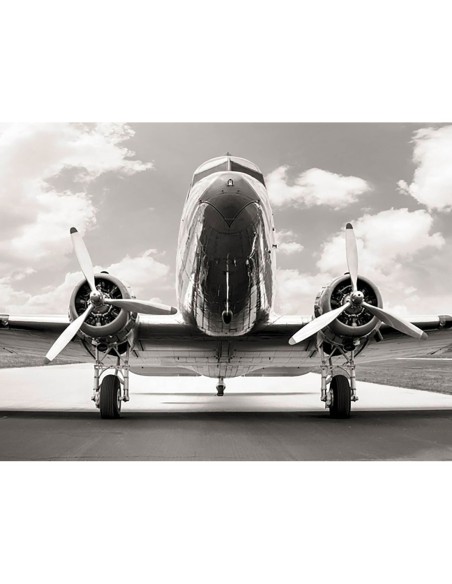 DC 3 clásico en el aeródromo