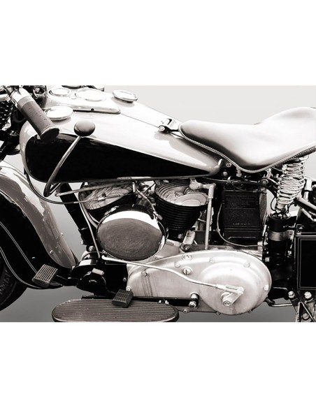 Motor V-Twin americano clásico (detalle)