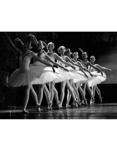 Ballet del lago de los cisnes