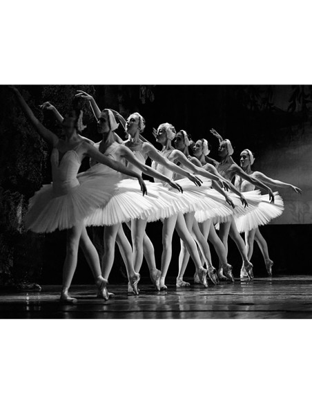 Ballet del lago de los cisnes