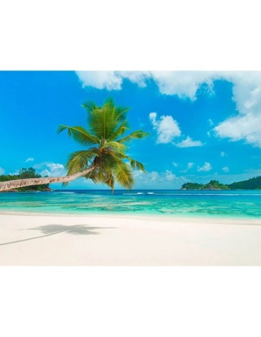 Playa tropical, Seychelles (detalle)