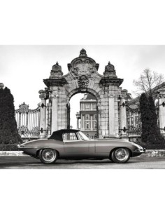 Coche deportivo clásico 1