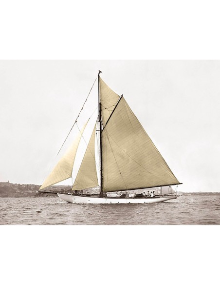 Yate en el puerto de Sídney