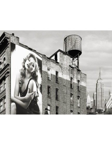 Vallas publicitarias en Manhattan 1