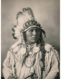 Liebre moteada, cuervo, 1898