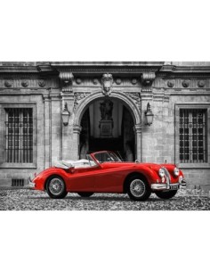 Coche de lujo frente al Palacio Clásico