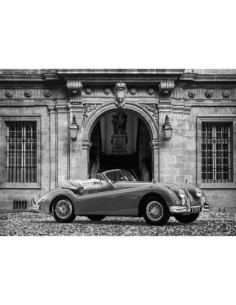 Coche de lujo frente al Palacio Clásico (BW)