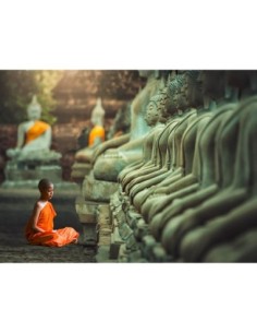 Joven monje budista rezando, Tailandia