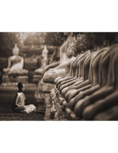 Joven monje budista rezando, Tailandia (sepia)