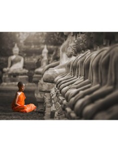 Joven monje budista rezando, Tailandia (BW)