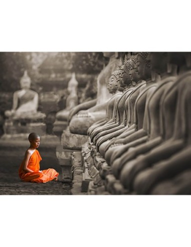 Joven monje budista rezando, Tailandia (BW)