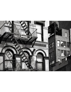 TriBeCa Beauty, Nueva York