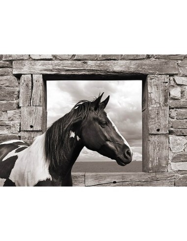 Caballo pintado (BW)