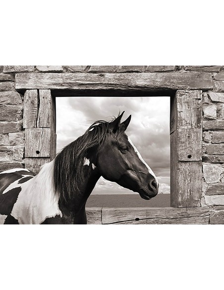 Caballo pintado (BW)