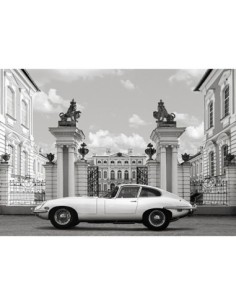 Princesa en el Palacio (detalle)