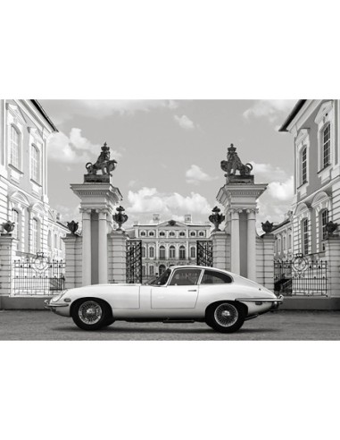 Princesa en el Palacio (detalle)