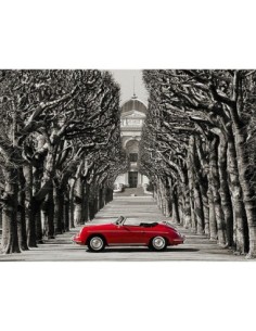 Roadster en una carretera arbolada, París