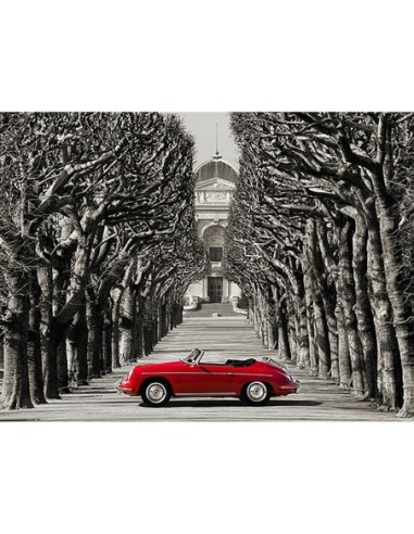 Roadster en una carretera arbolada, París