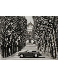 Roadster en una carretera arbolada, París (BW)