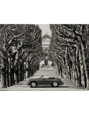 Roadster en una carretera arbolada, París (BW)