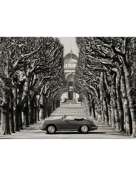 Roadster en una carretera arbolada, París (BW)