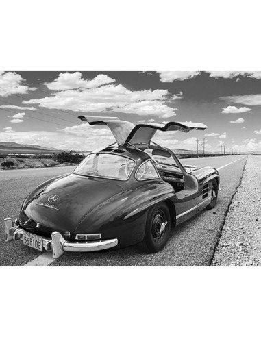 De costa a costa, Albuquerque, Nuevo México