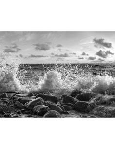 Olas rompiendo, Point Reyes, California (BW)
