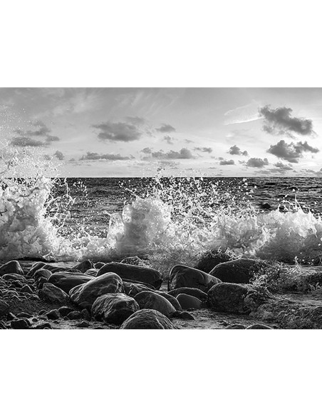 Olas rompiendo, Point Reyes, California (BW)
