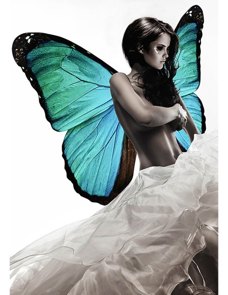 Belleza alada 1 (detalle)