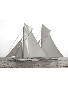 Columbia y Shamrock, 1901