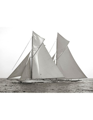 Columbia y Shamrock, 1901