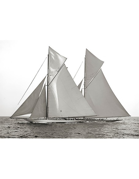 Columbia y Shamrock, 1901