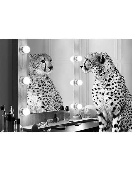 Belleza salvaje (BW)