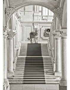 Lujosa naturaleza II