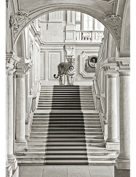 Lujosa naturaleza II