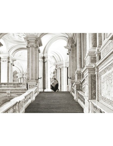 Lujosa naturaleza salvaje III