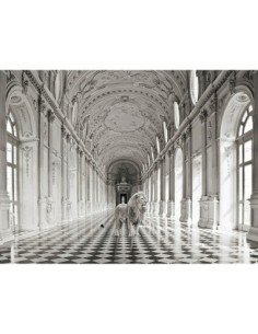 Lujosa naturaleza salvaje IV