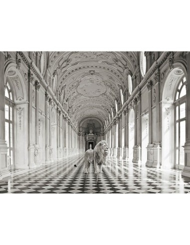 Lujosa naturaleza salvaje IV